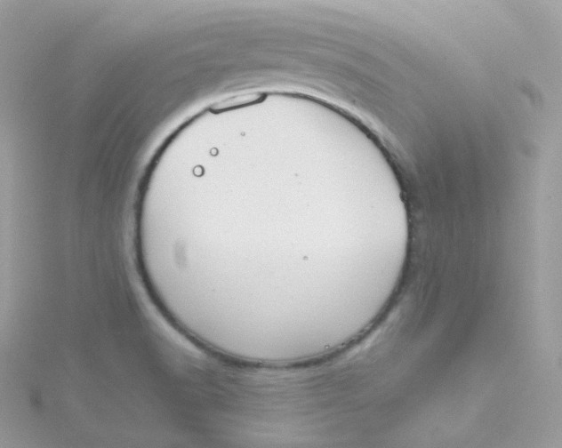 X0000115511518200911271420