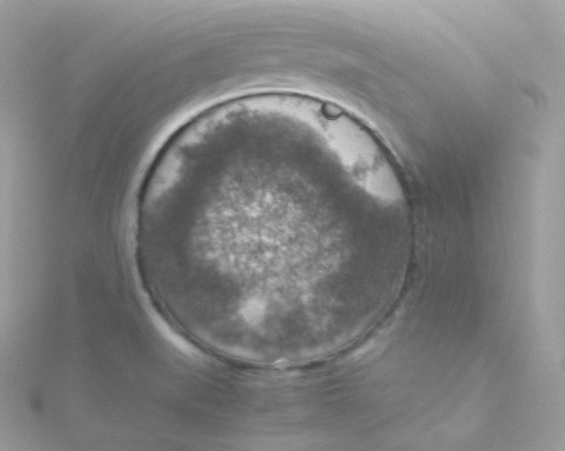 X0000115511519200911271420