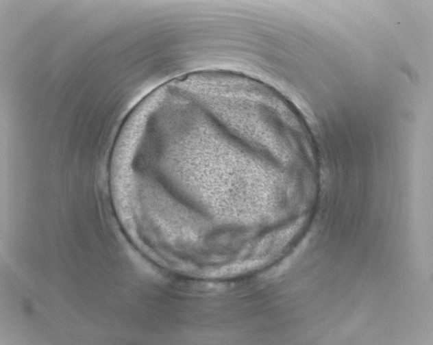 X0000115511521200911271420