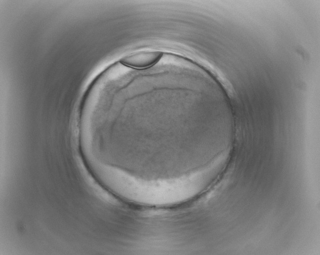 X0000115511522200911271420