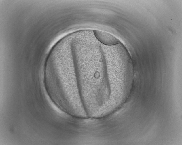 X0000115511523200911271420