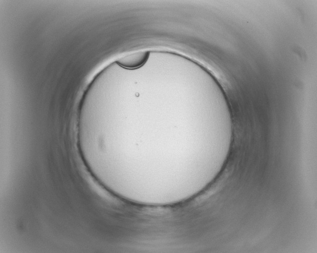 X0000115511526200911271420