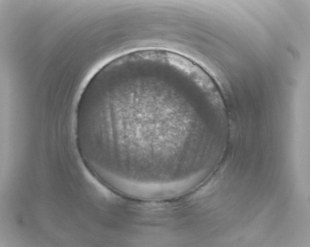 X0000115511527200911271420