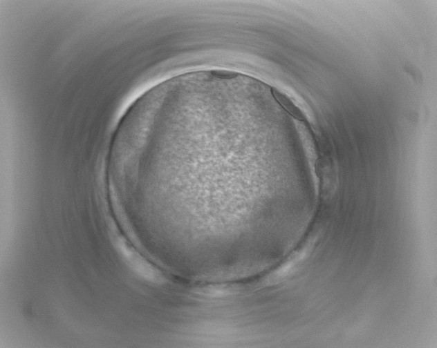 X0000115511530200911271420