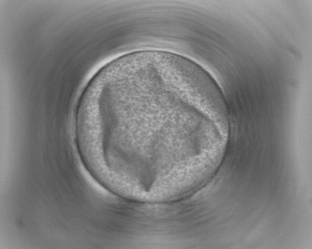 X0000115511531200911271420