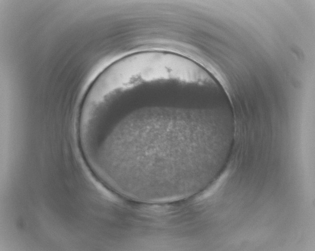 X0000115511533200911271420