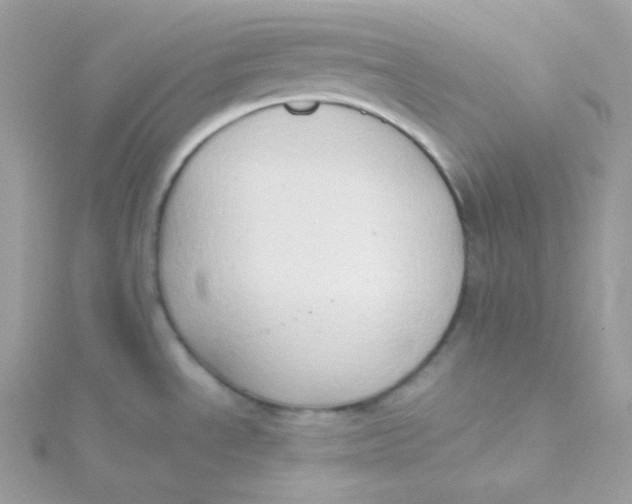 X0000115511534200911271420