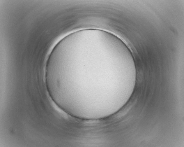 X0000115511535200911271420