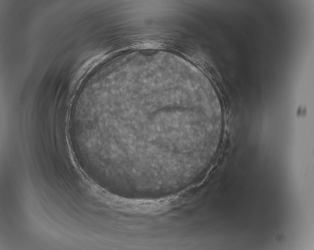 X0000115510001200912041112