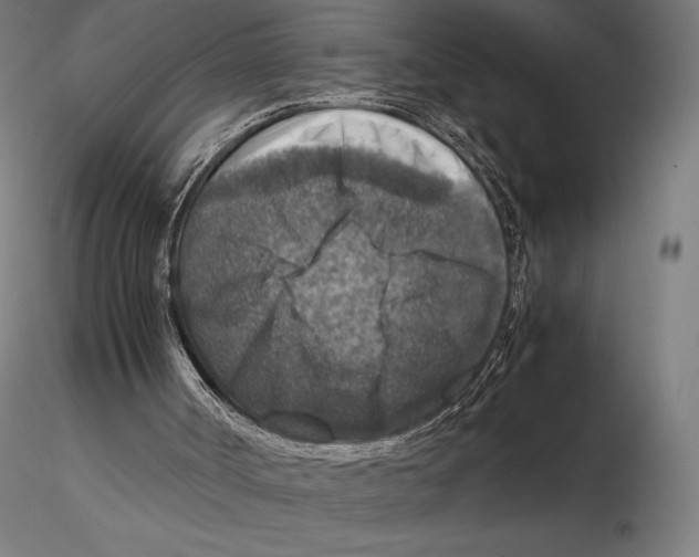 X0000115510002200912041112