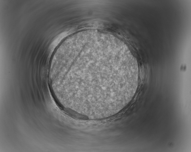 X0000115510003200912041112