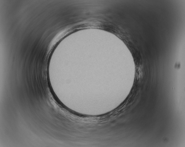 X0000115510004200912041112