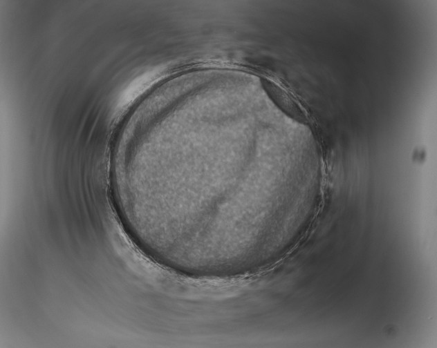 X0000115510005200912041112