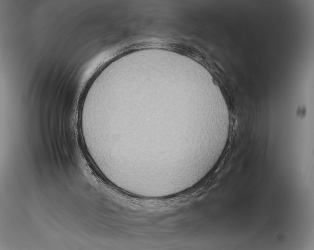 X0000115510006200912041112