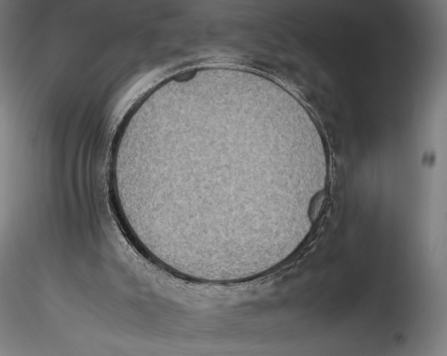 X0000115510007200912041112