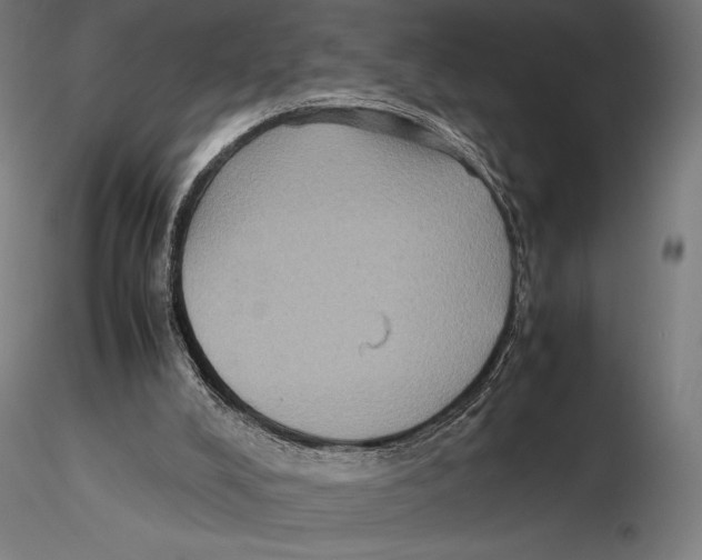 X0000115510008200912041112