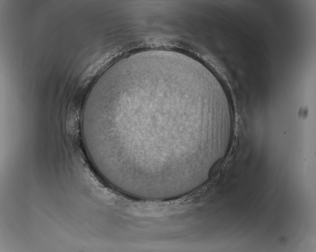 X0000115510009200912041112