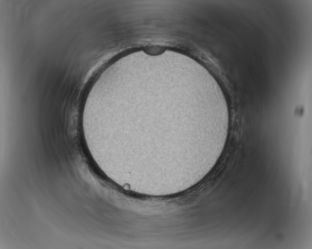 X0000115510012200912041112