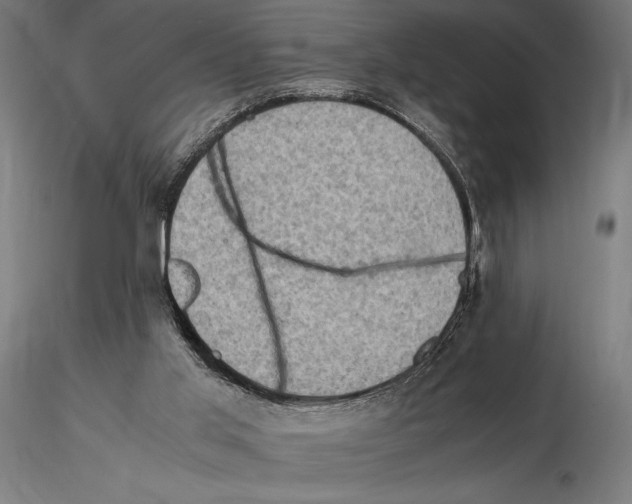 X0000115510013200912041112