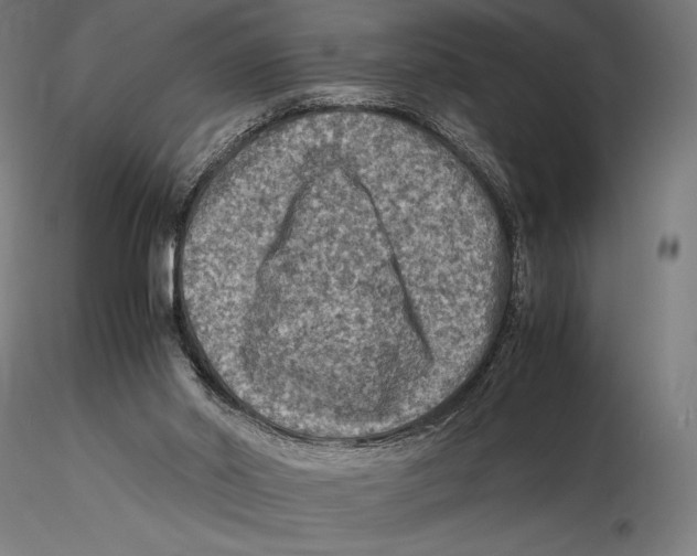 X0000115510014200912041112