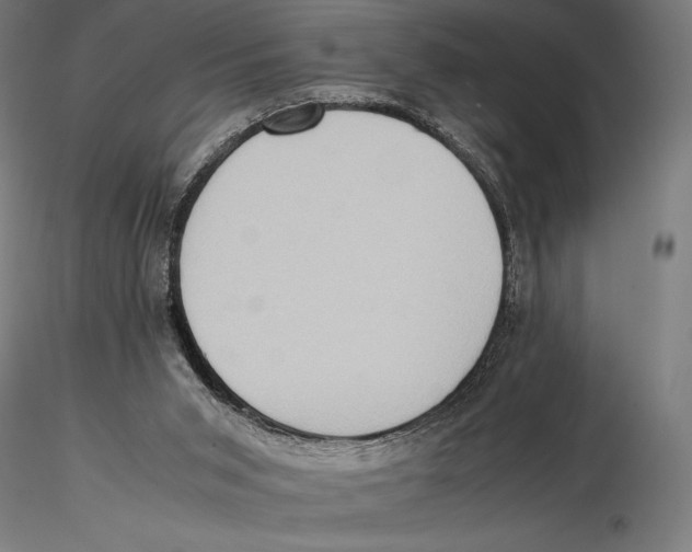 X0000115510015200912041112