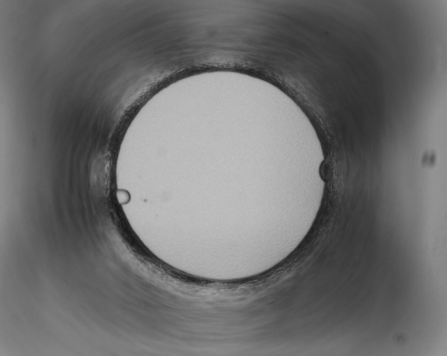 X0000115510016200912041112