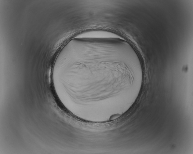 X0000115510019200912041112