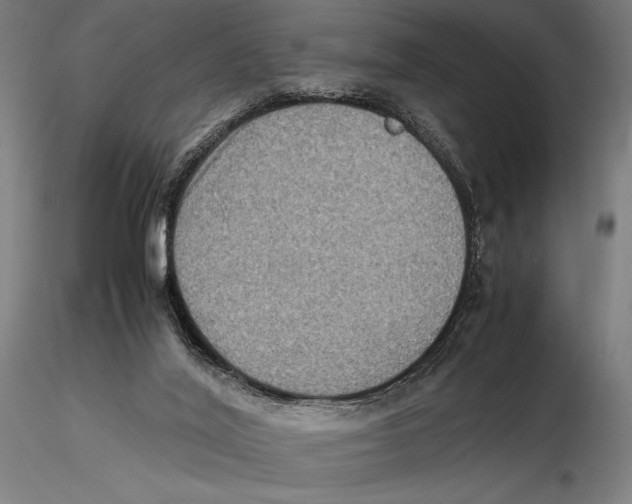 X0000115510020200912041112