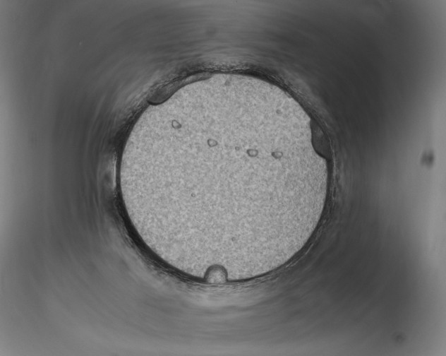 X0000115510021200912041112