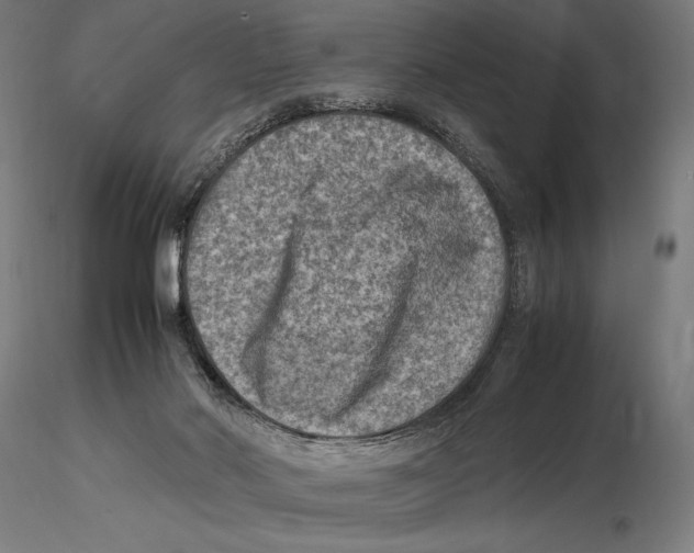 X0000115510022200912041112