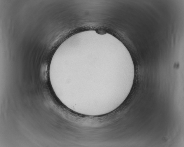 X0000115510024200912041112