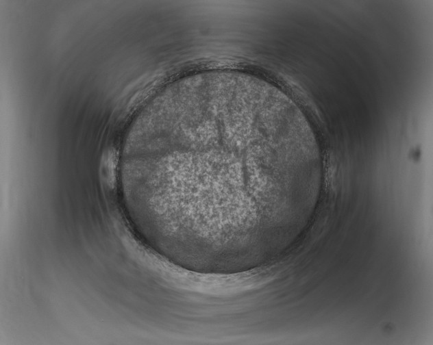 X0000115510026200912041112