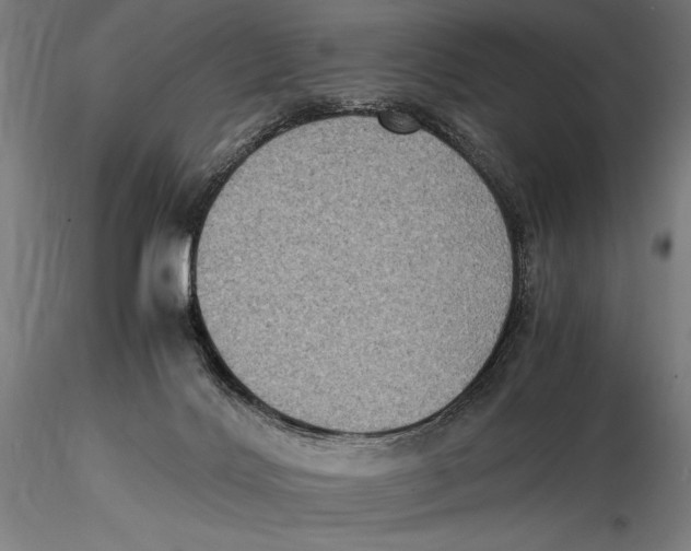 X0000115510028200912041112