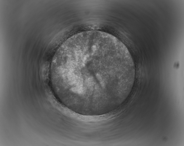 X0000115510030200912041112