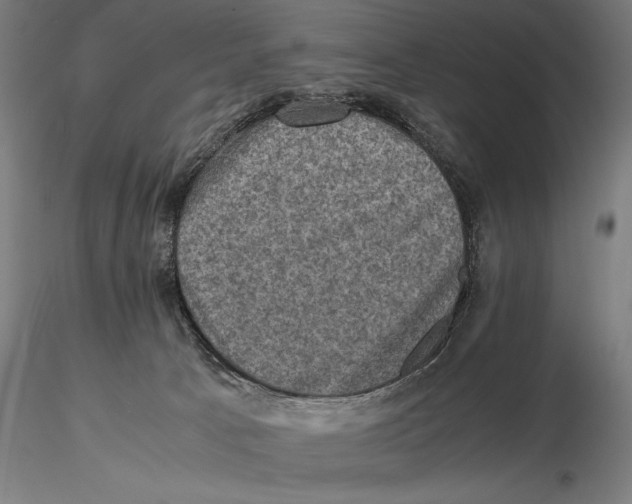 X0000115510033200912041112