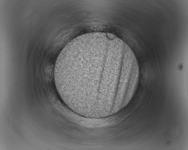 X0000115510034200912041112