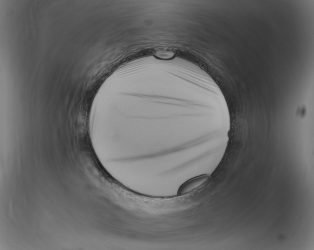 X0000115510039200912041112