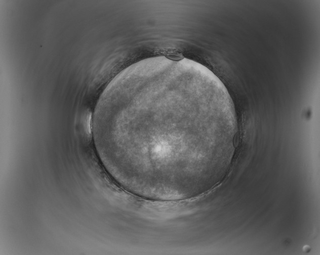 X0000115510041200912041112