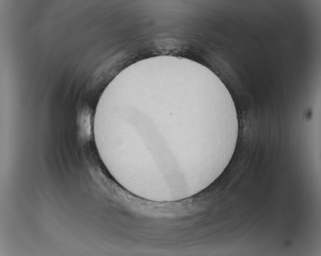 X0000115510042200912041112