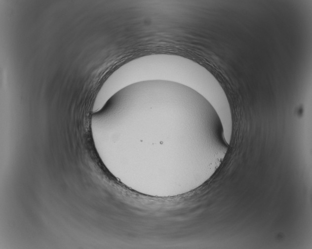 X0000115510043200912041112