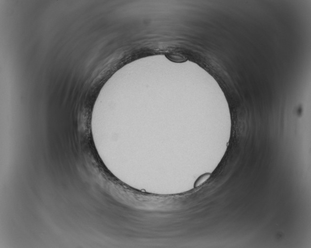 X0000115510044200912041112