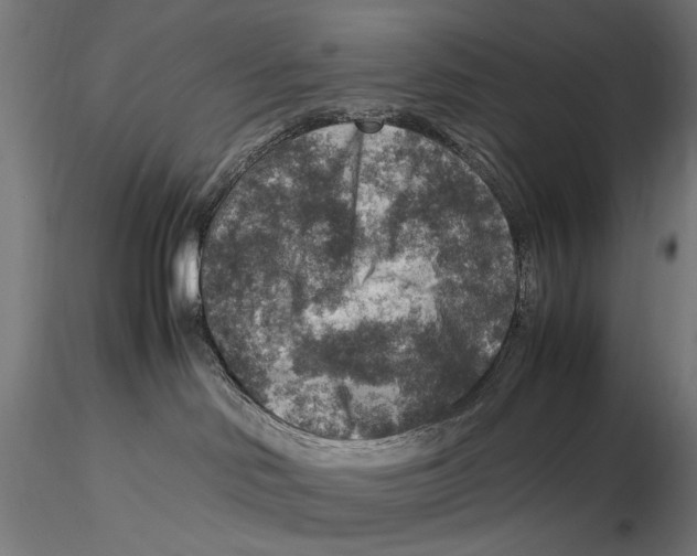 X0000115510046200912041112