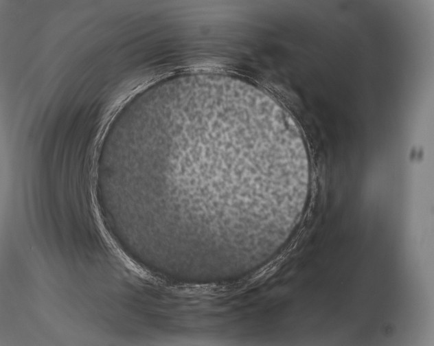 X0000115510049200912041111