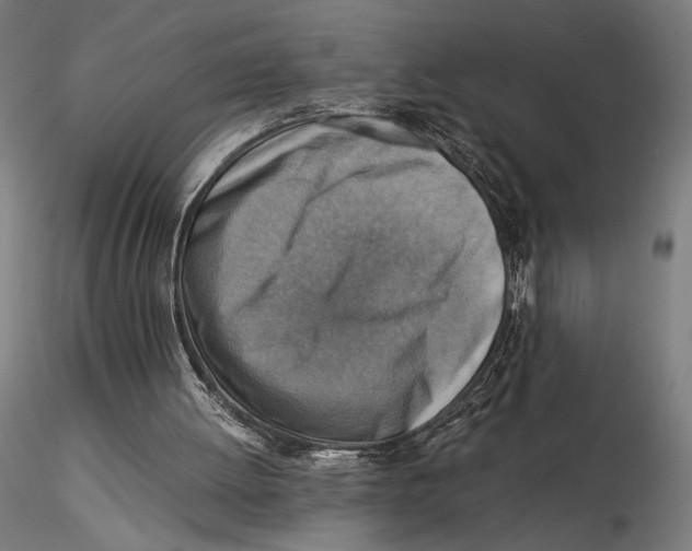 X0000115510052200912041111