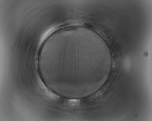 X0000115510053200912041111