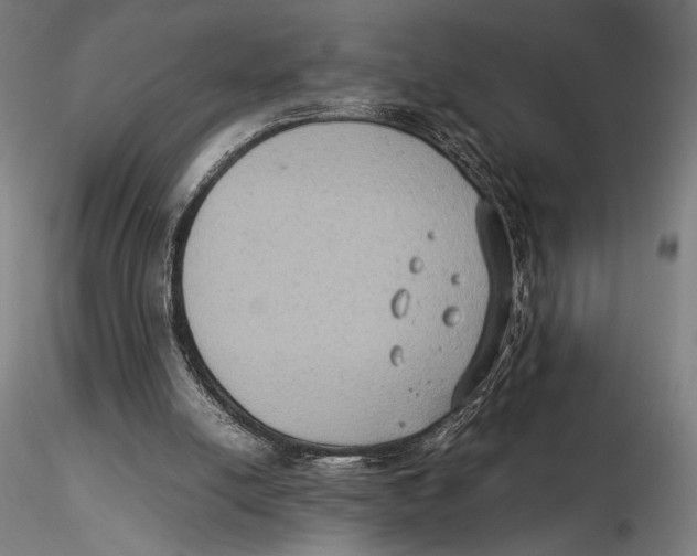 X0000115510054200912041111