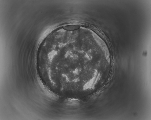 X0000115510055200912041111