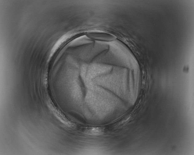 X0000115510056200912041111