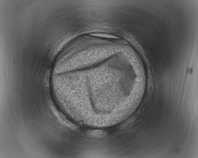 X0000115510058200912041111