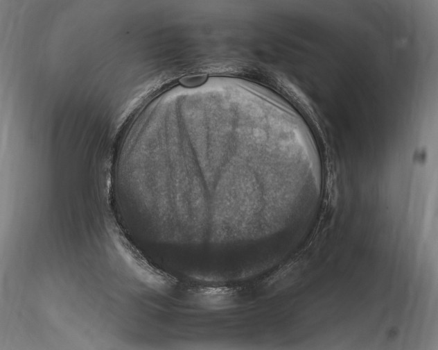 X0000115510059200912041111